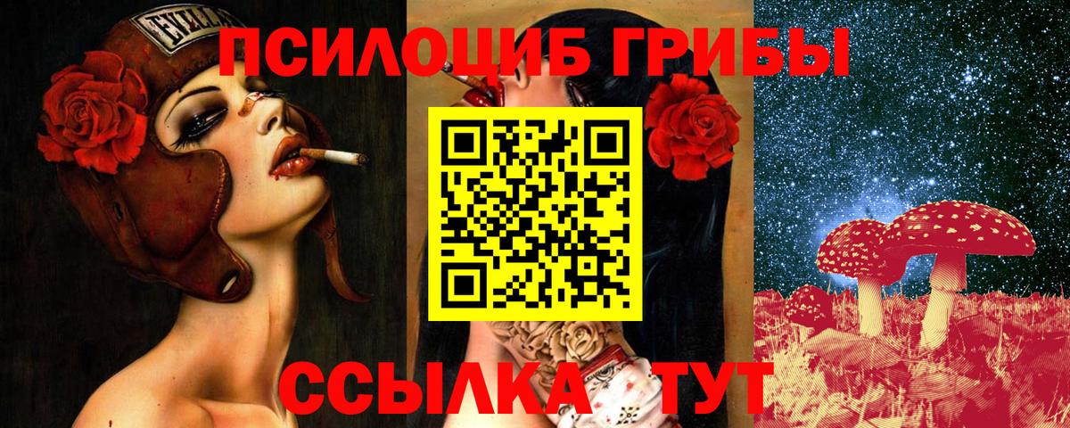 Галлюциногенные грибы Psilocybe  цены   Красноармейск  Вход с VPN 