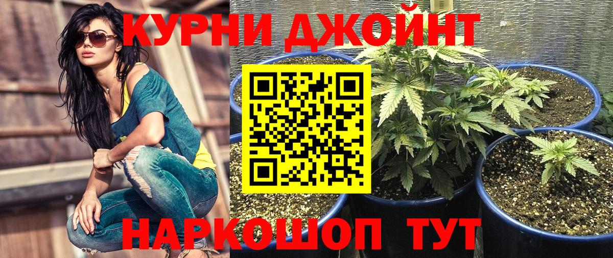 Бошки Шишки Amnesia Красноармейск